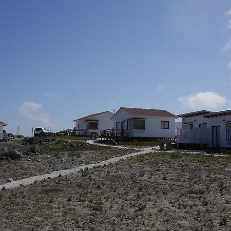 Las Hualas Punta de Choros Exterior photo