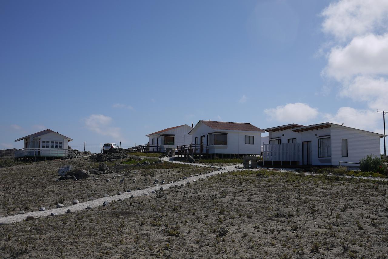 Las Hualas Punta de Choros Exterior photo